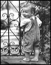 babies10_11