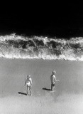 Facing the Wave