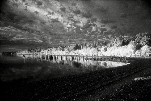 sunrise_on_whidby_island.jpg