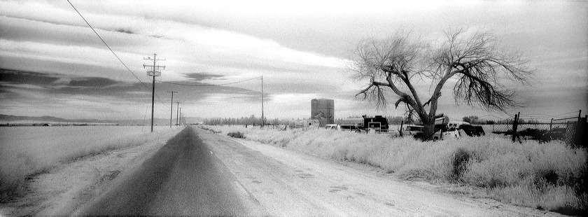 _junkyard_road.jpg