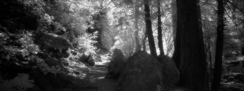 eagle-lake-trail.jpg
