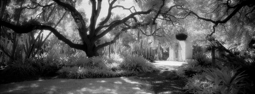 lotusland_oaks___cactus_.jpg